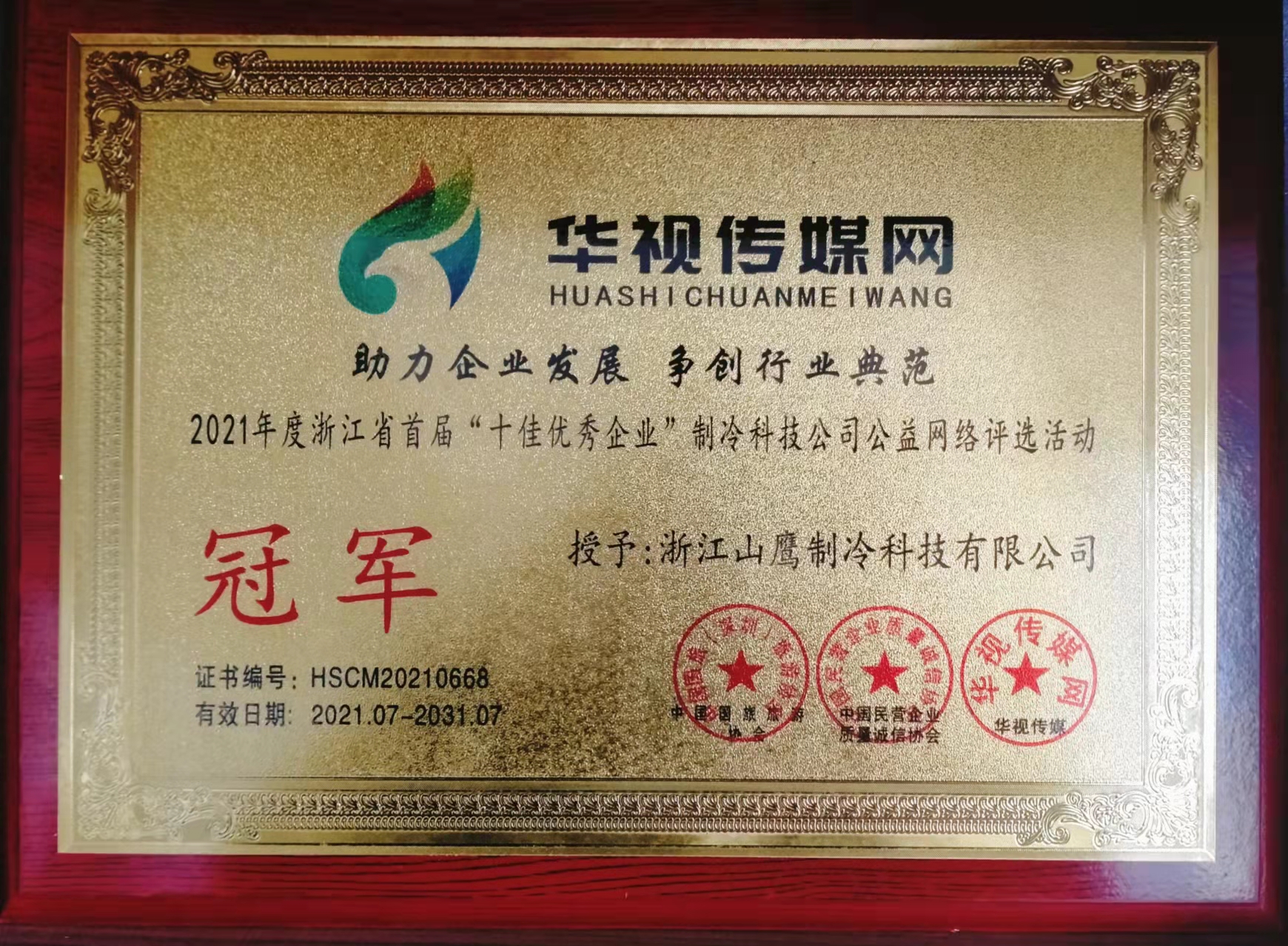 十佳優(yōu)秀企業(yè)